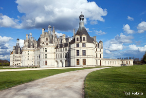 Castillos del Loira, una visita guiada